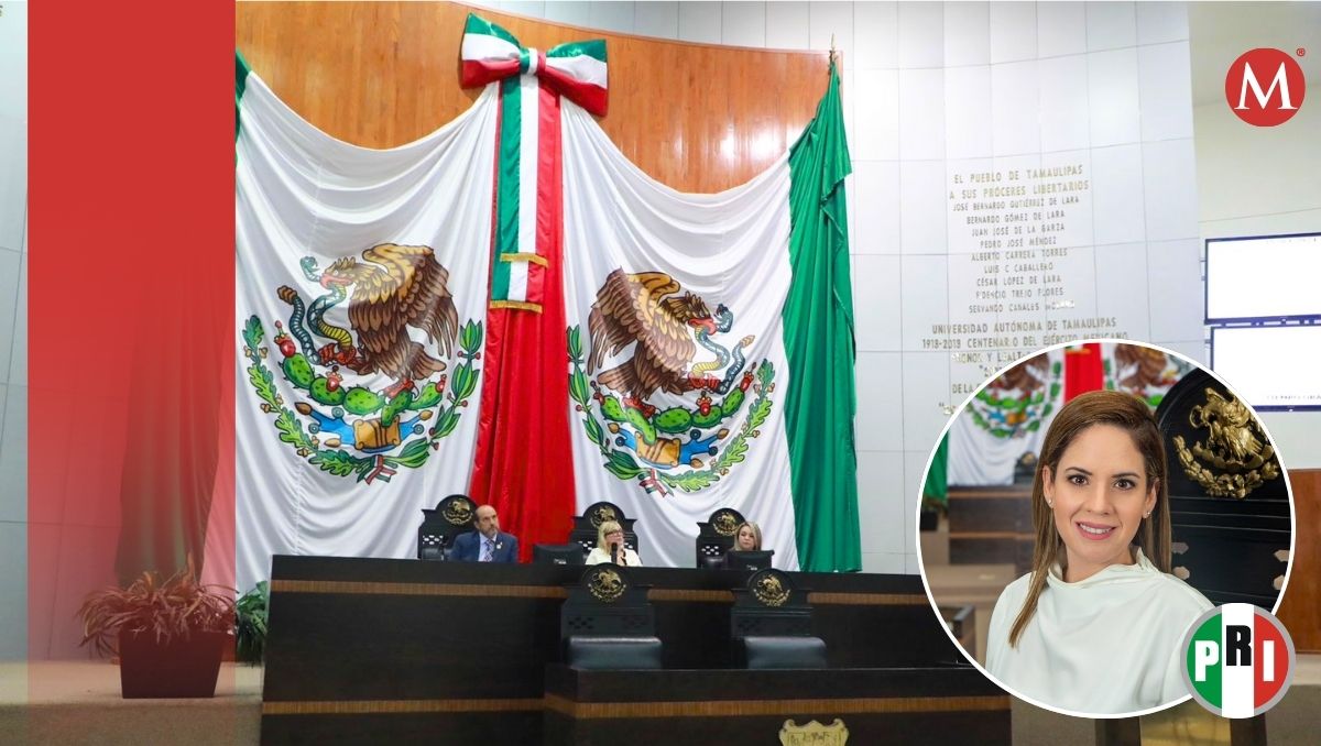 Alejandra Cárdenas fue por la diputación electoral por el Distrito 14.
