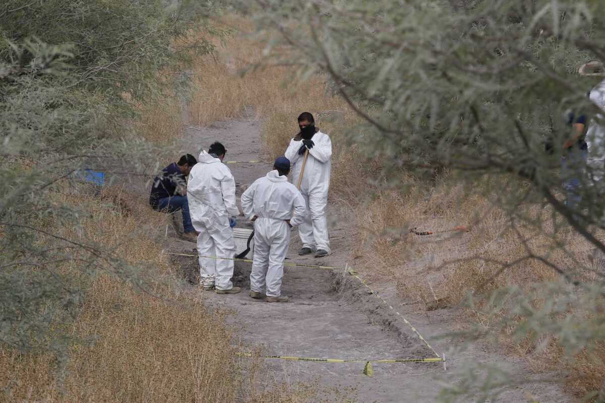 Esperan obtener autorización de un juez para llevar a cabo dichos operativos en predios particulares solicitados por el Grupo VIDA.| Roberto Amaya