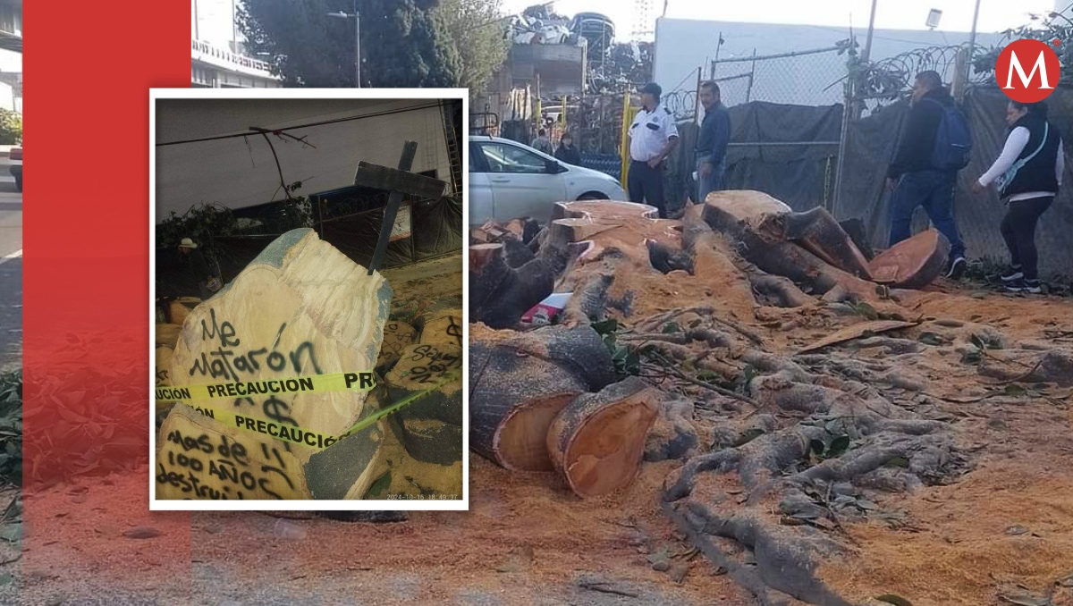 Usuarios piden a las autoridades de Iztapalapa castigar a los responsables. | Especial