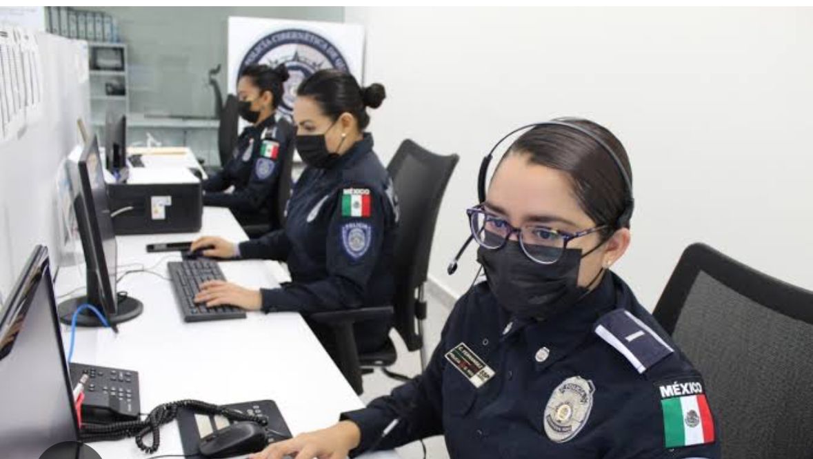 Van por Policía cibernética en Jalisco. (Cortesía)
