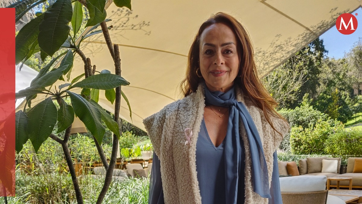 Cáncer de mama. Buscan Plan nacional de control de cáncer