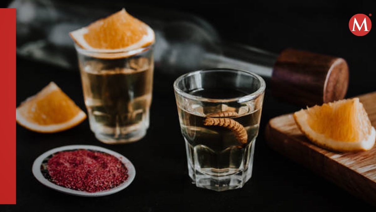 En 2023 se produjeron 12.2 millones de litros de mezcal/ Pixabay