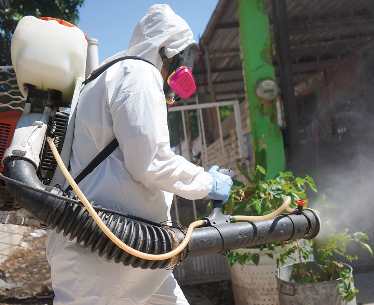 Insectos como el mosquito propagan infecciones como el dengue.