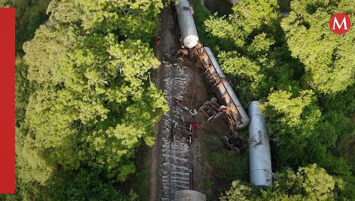 Elefantes mueren tras ser embestidos por un tren en Sri Lanka | AP