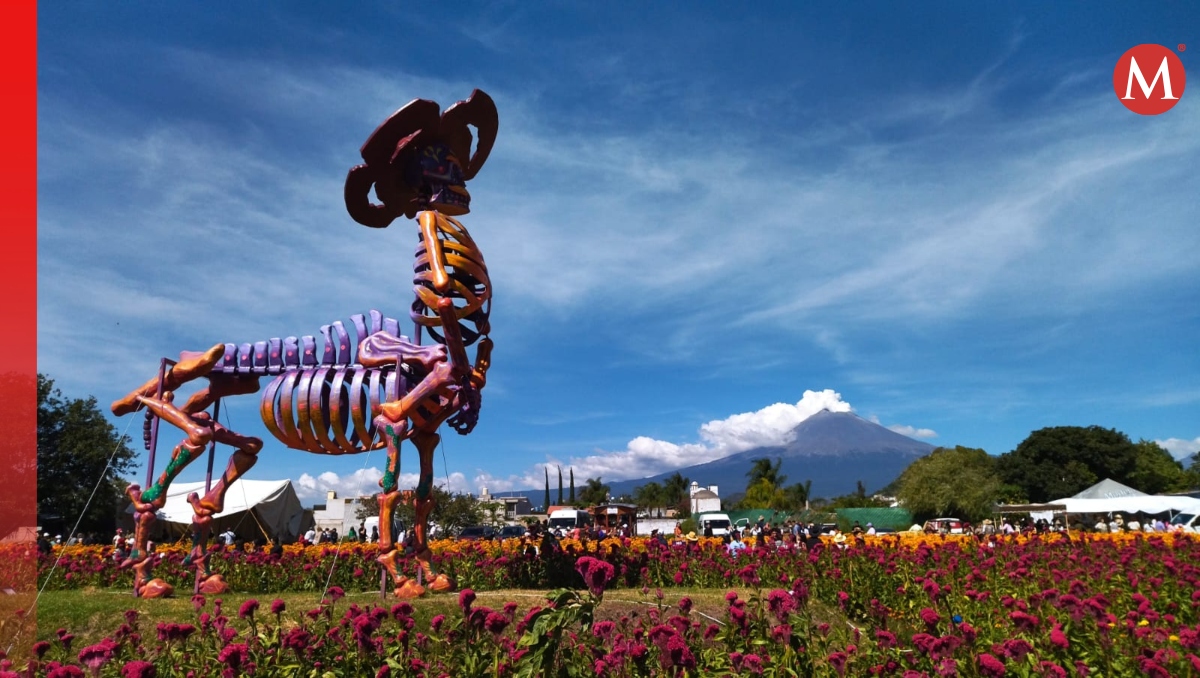 Valle de Catrinas en Atlixco, Puebla; arte que rebasa fronteras | Verónica López