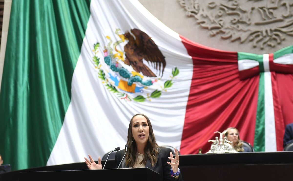 Noemí Luna, coordinadora del PAN en San Lázaro, pide a Sheinbaum que acate la ley. | Foto: Especial