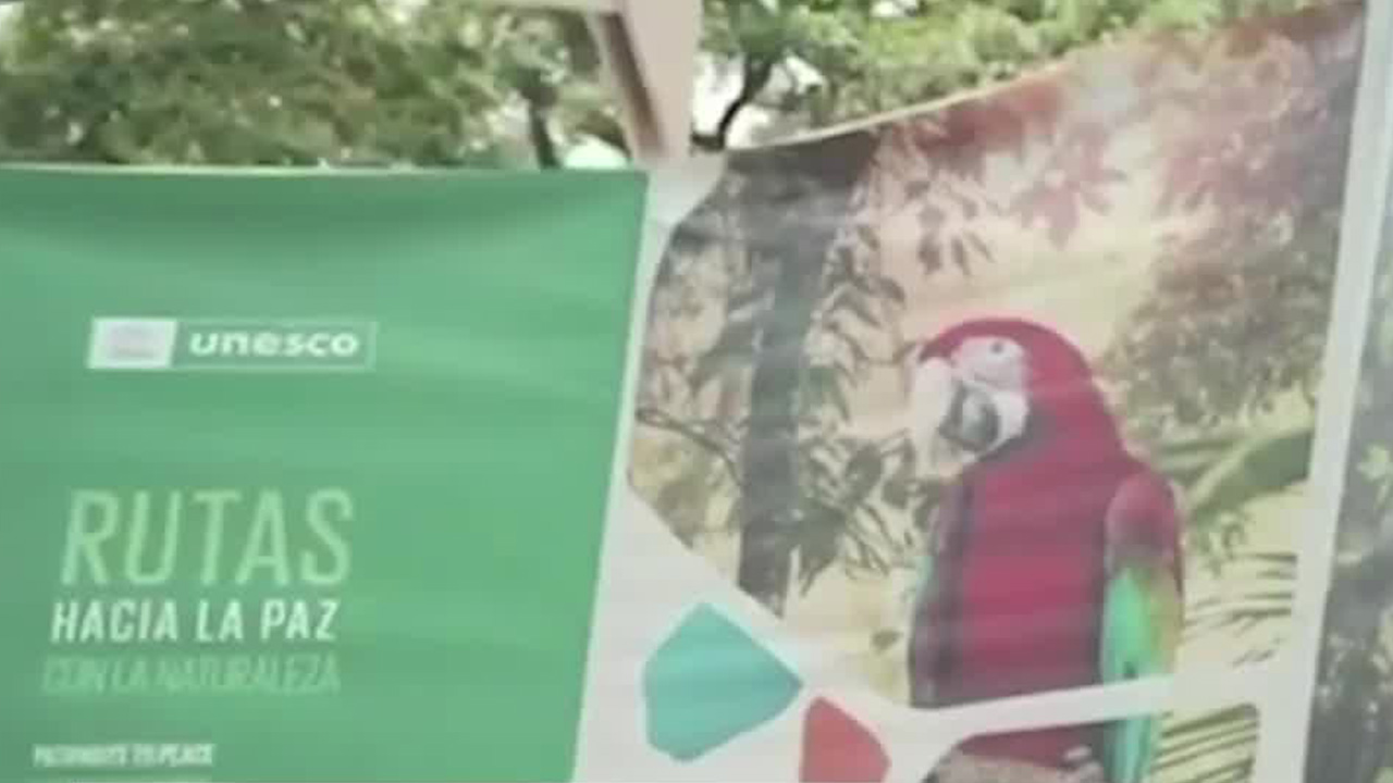 Arranca la COP16 con llamados urgentes para proteger la biodiversidad global | Notivox Hábitat