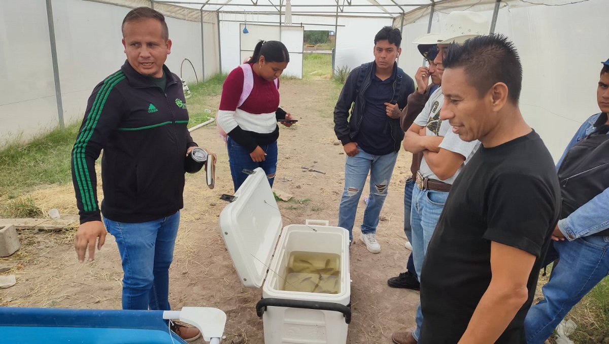 Como parte del proyecto está el probar que es factible la producción de alimentos asociados entre peces. (cortesías)