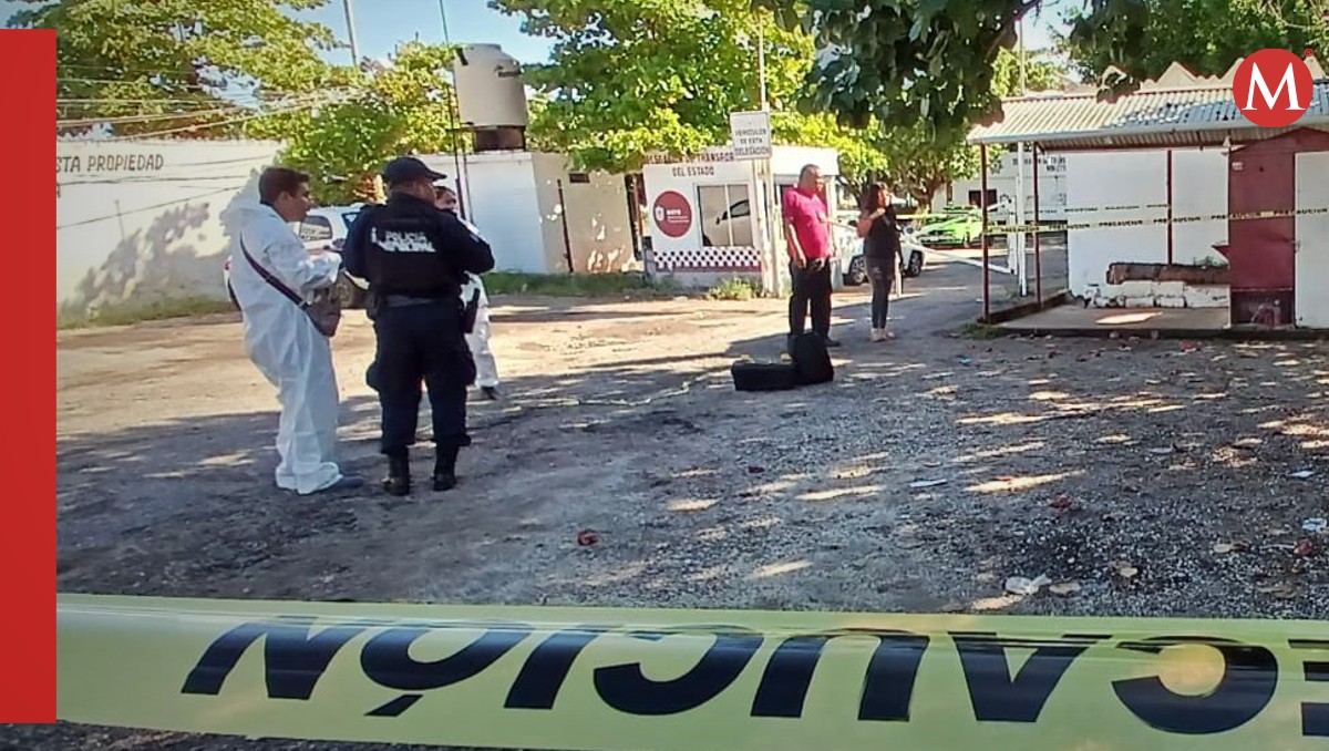 La cabeza humana fue localizada por personal de la dependencia | Especial