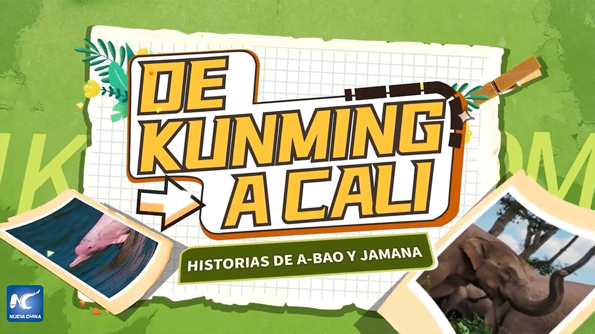 De Kunming a Cali: historias de A-Bao y Jamana