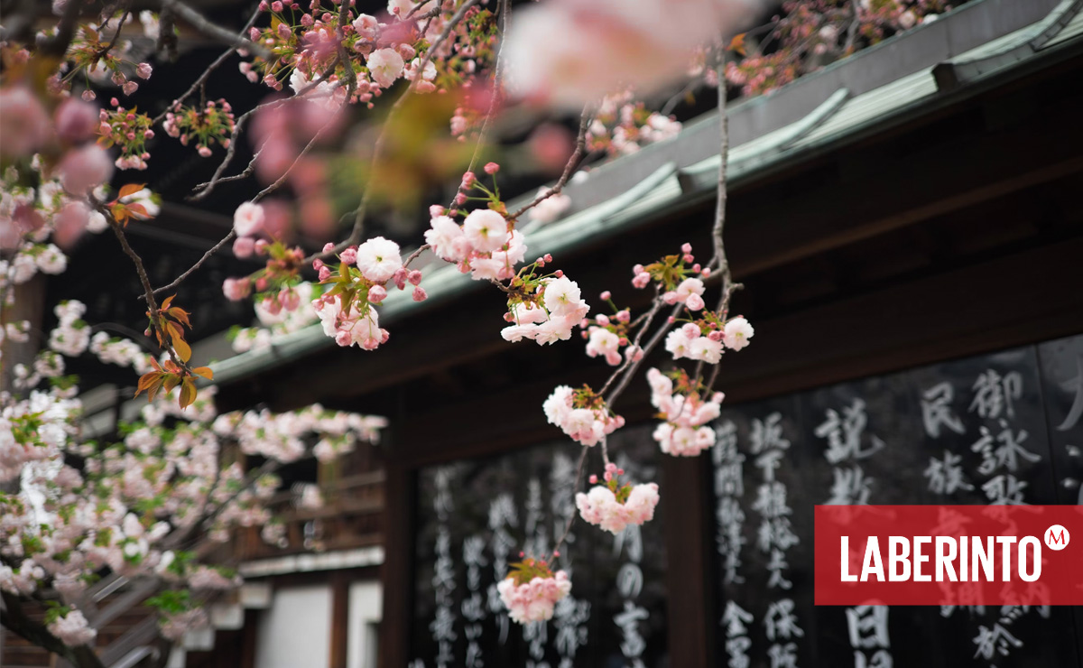 El haiku es japonés, pero también universal. (Unsplash)