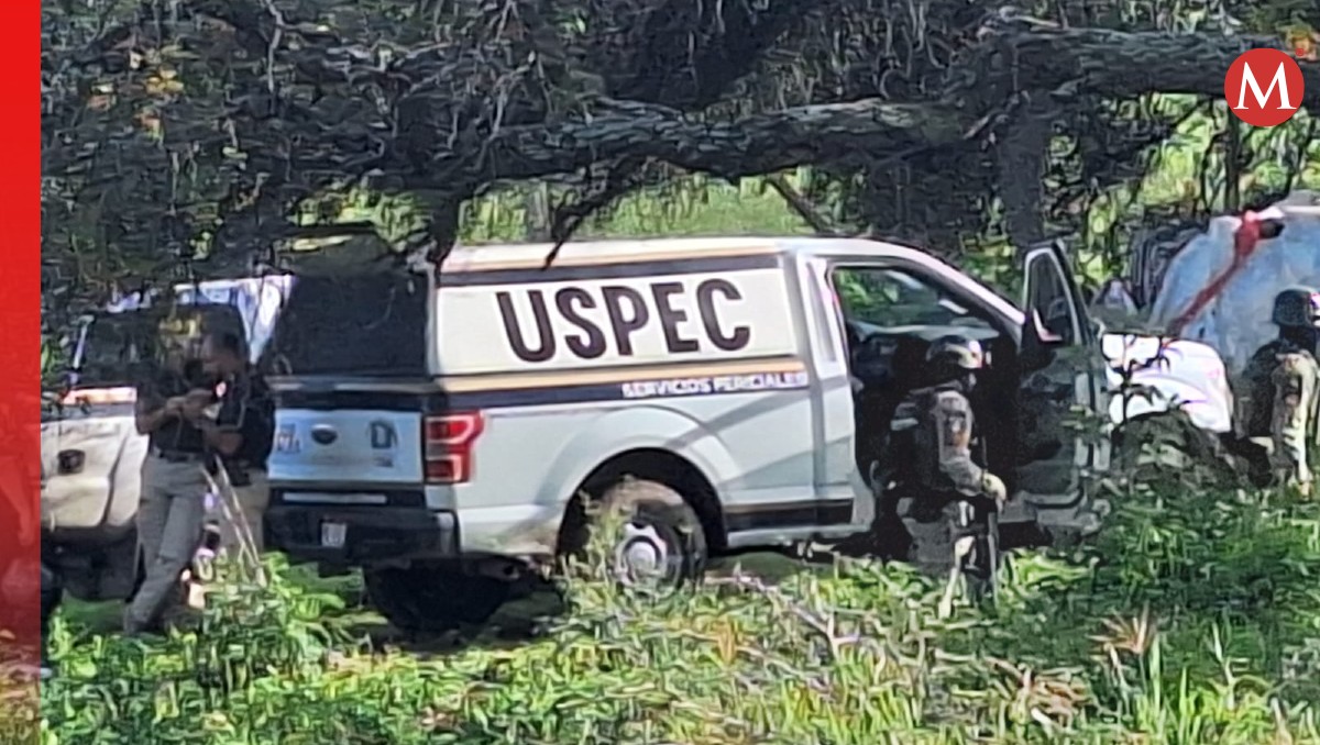 Violento hallazgo en huerta de aguacates en Zirimbo, Michoacán | Especial