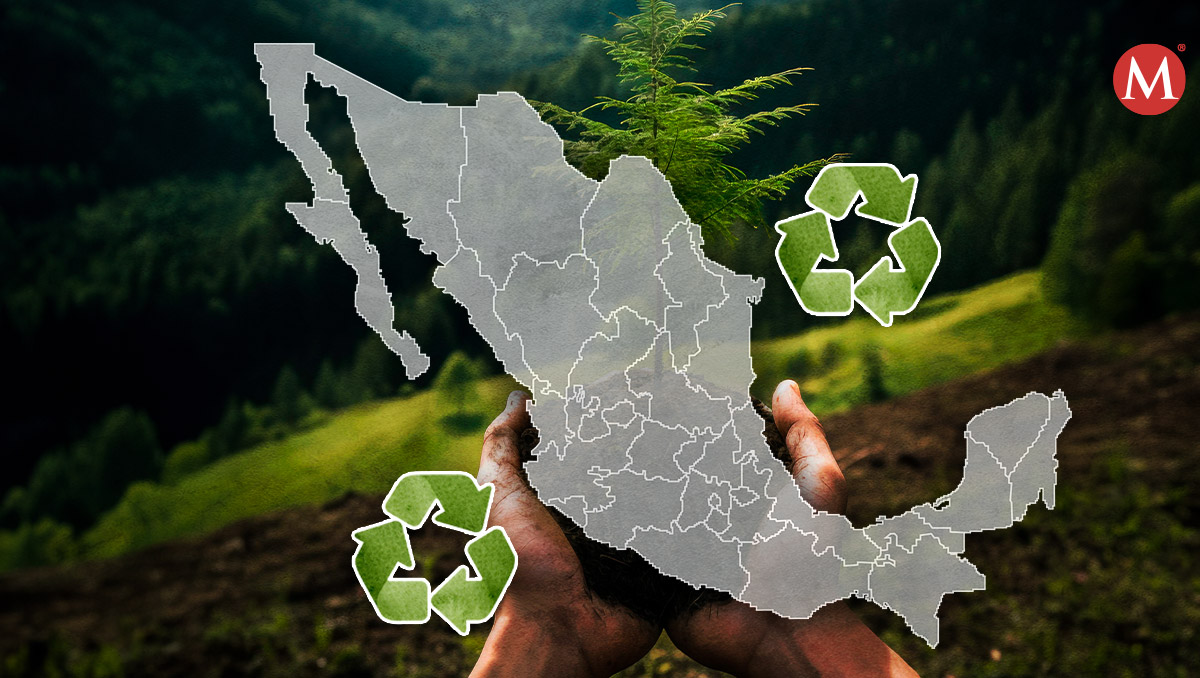 Actualmente, México es líder en reciclaje de PET en América Latina. | Diseño: Samantha Martínez