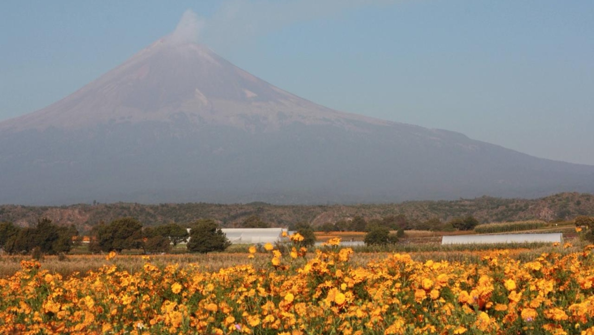 Popocatépetl HOY: Actividad registrada 25 de octubre de 2024 | EN VIVO | Andrés Lobato