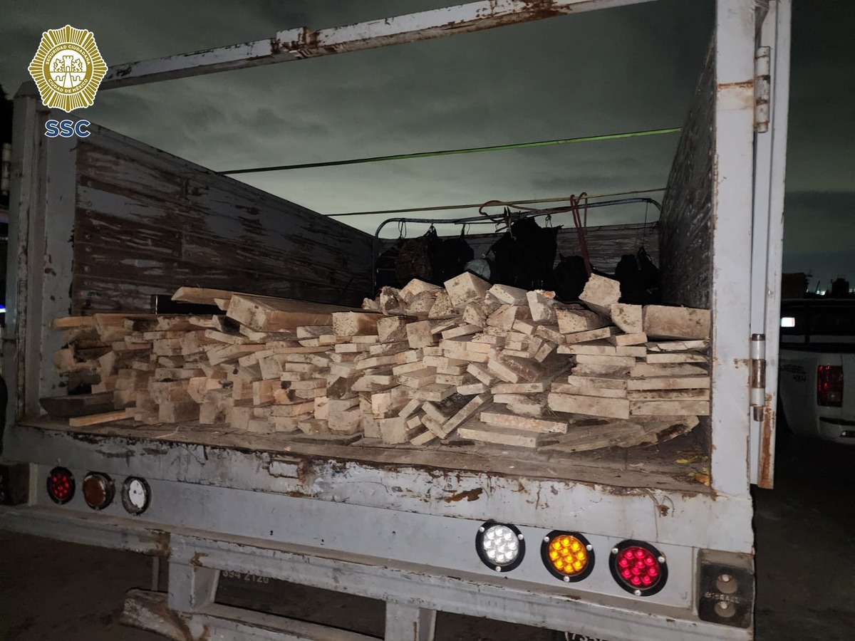 Se aseguraron 7 metro cúbicos de madera en Tlalpan (foto: SSC)