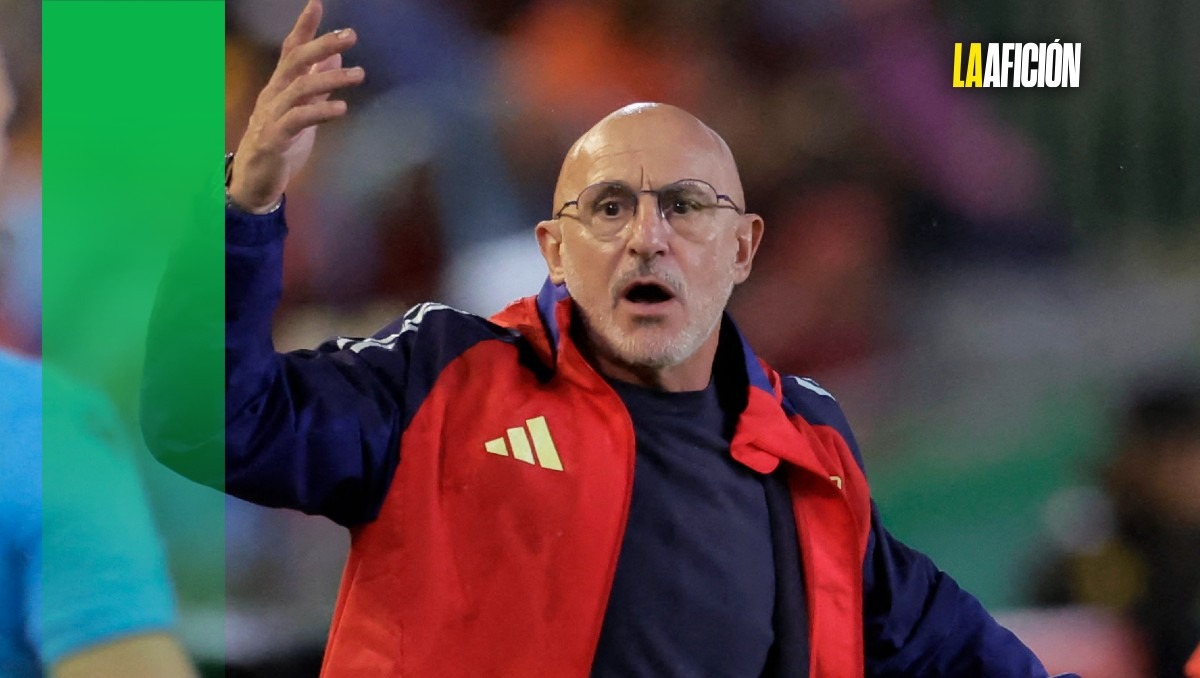 Luis De La Fuente director técnico de la selección española (Reuters)