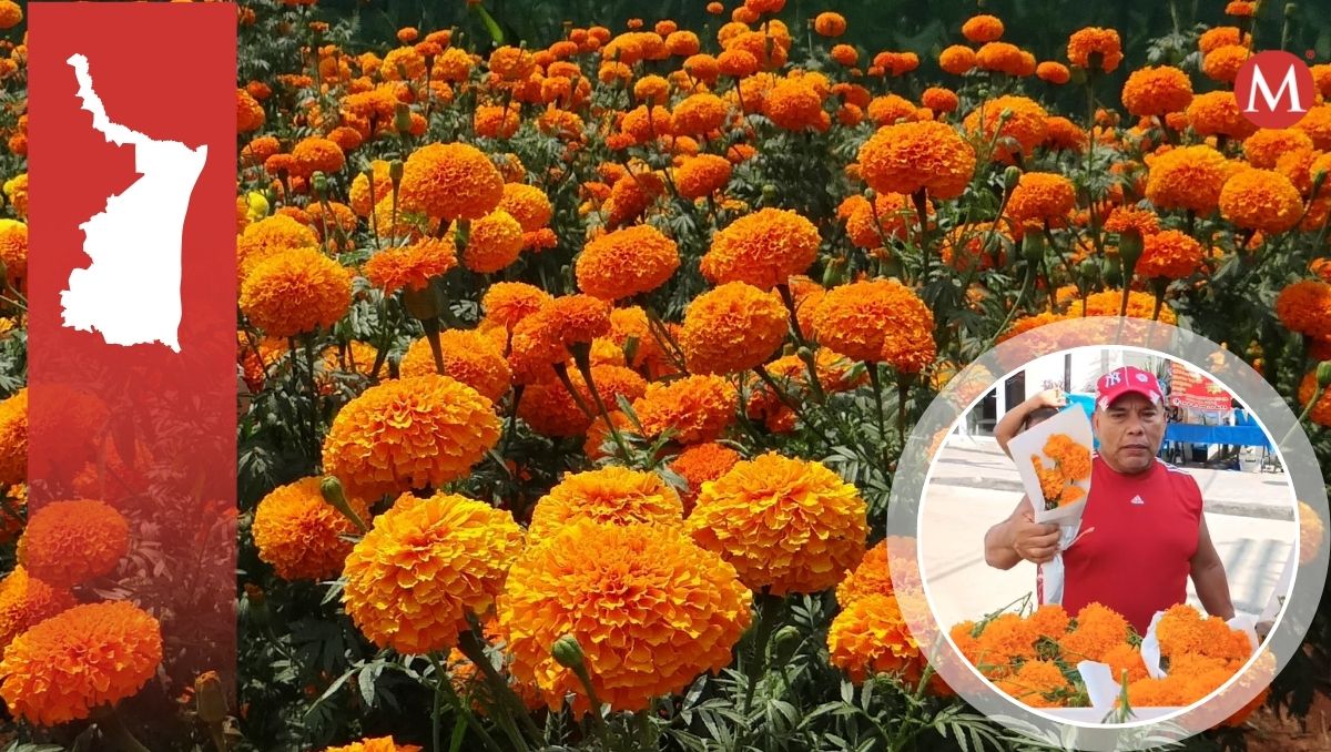 A días de las festividades se pude observar a las personas cargando las flores, hojas de tamal y las ramas para los arcos.