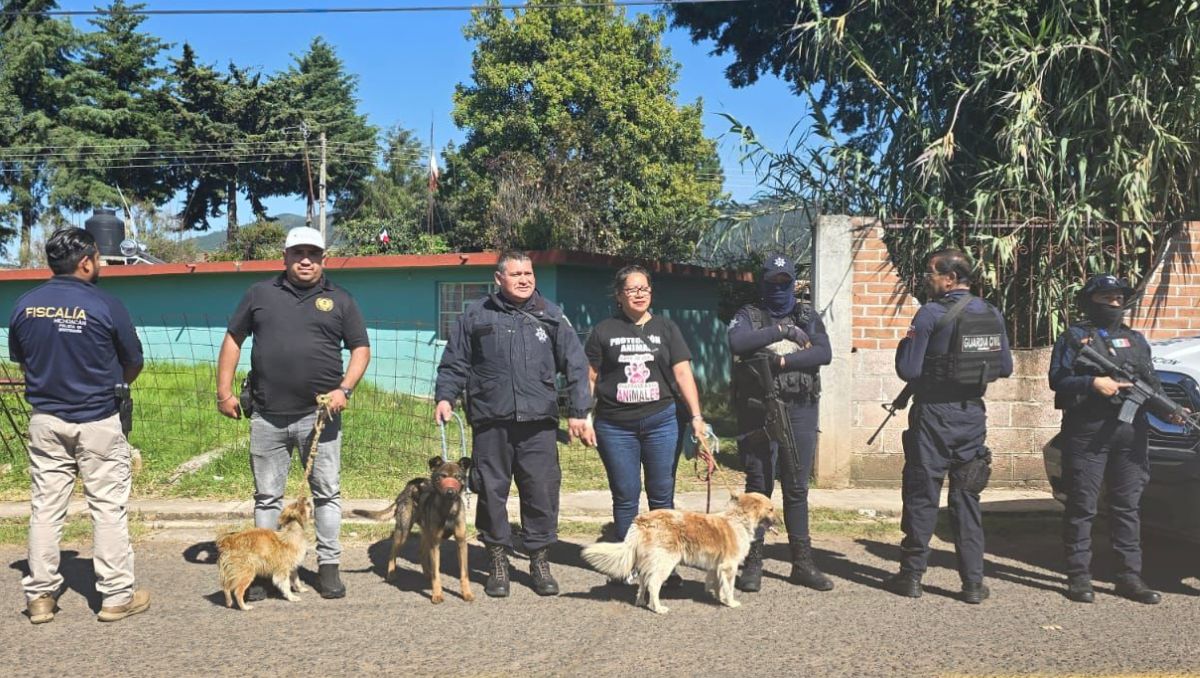 Los perros reciben atención en el Centro Canino Municipal de Maravatío. | Especial