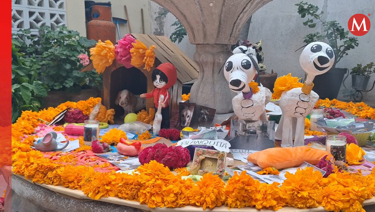 Recuerdan a mascotas con ofrenda por Día de Muertos en Puebla | Especial