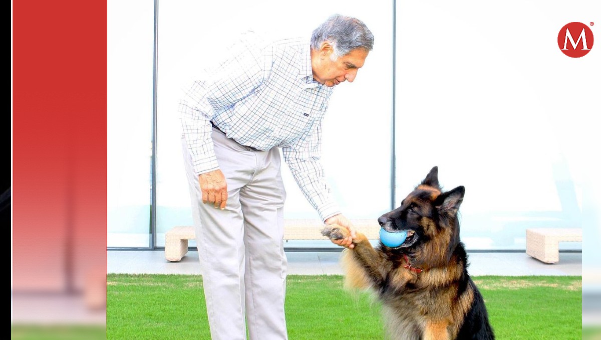 Empresario muere y deja millonaria herencia a su perro. | Redes sociales