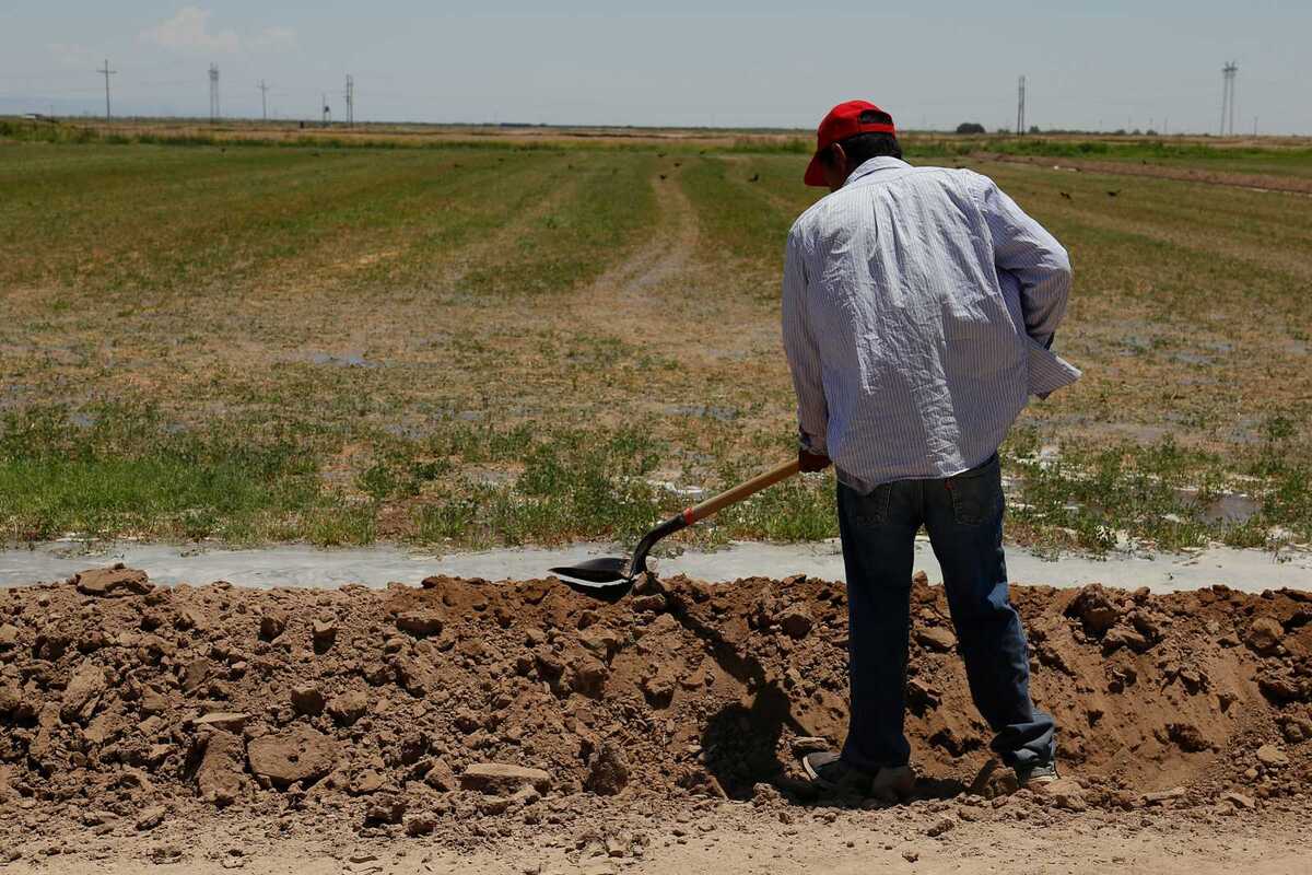 Especialistas en tema agropecuario hablan de esquemas como el arado ya se encuentran obsoletos.| Rolando Riestra