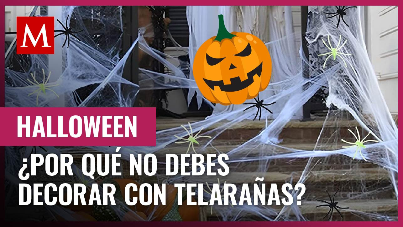 Esta es la importante razón por la que aconsejan no usar telarañas como decoración de Halloween