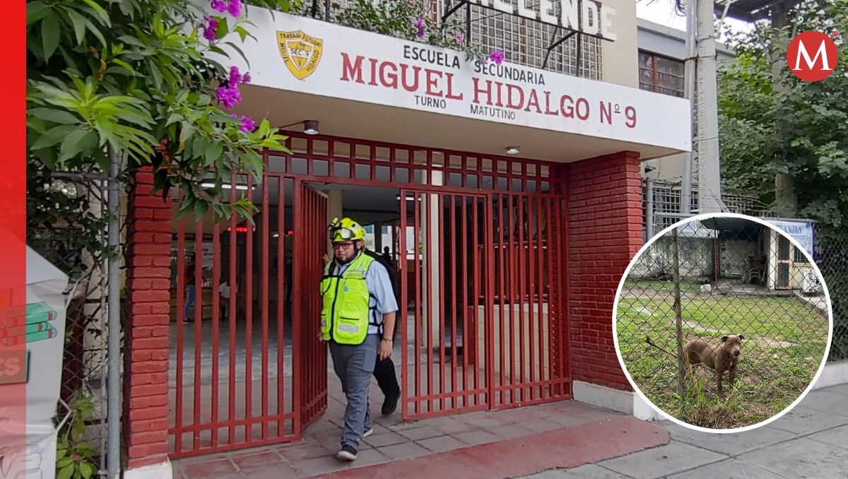 Los hechos ocurrieron en la escuela secundaria número 9 "Miguel Hidalgo" | Agustín Martínez