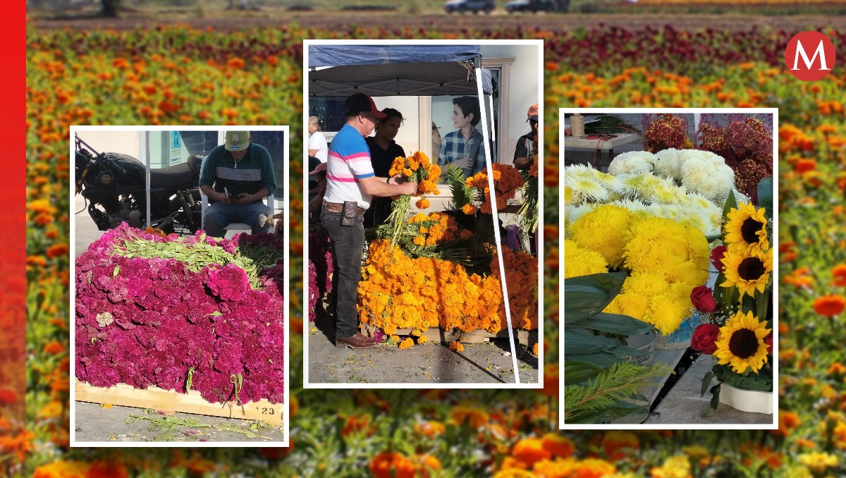Los comerciantes ofrecen las flores de temporada (Damián Ramírez)