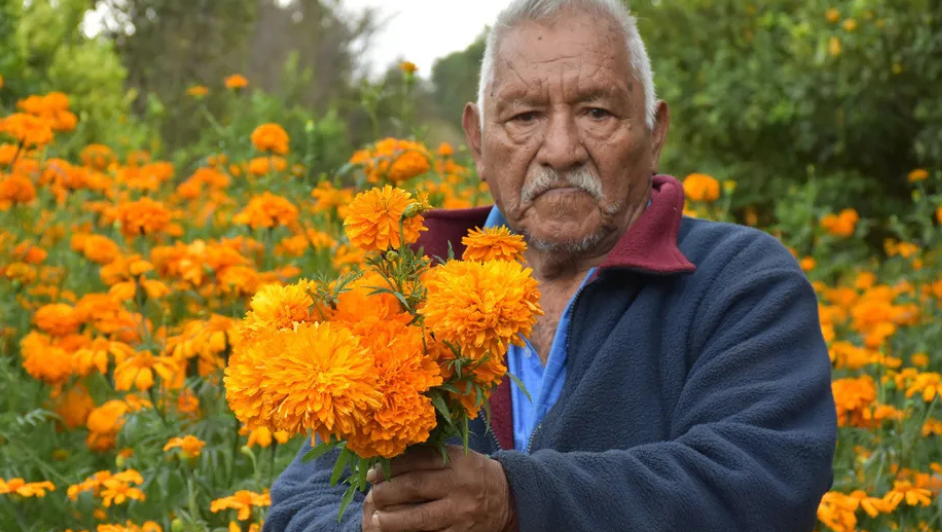 Comienza la afluencia de visitantes en el panteón de San Andrés Mixquic previo al Día de Muertos