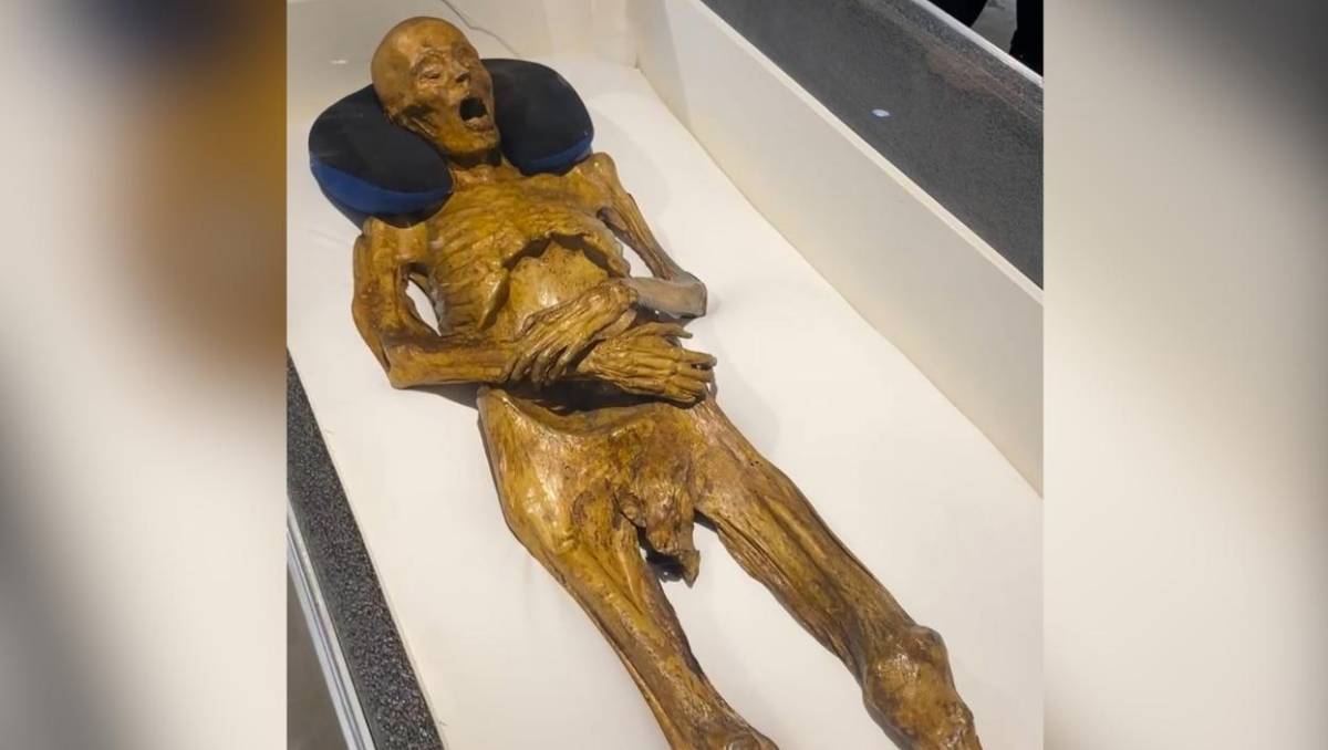 Museo de Historia Natural en la UAEMéx, cuenta con piezas que unen vida, muerte, historia oral y tradiciones. Mellissa López