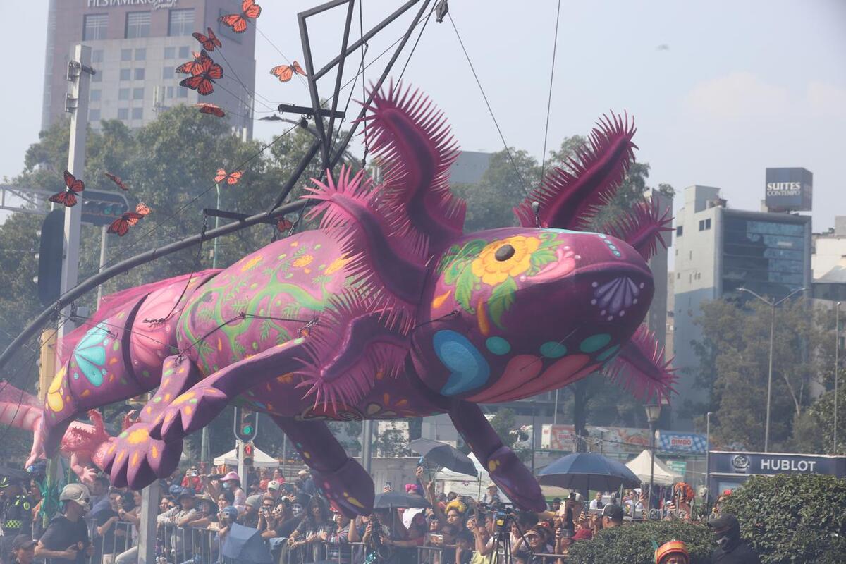 Los ajolotes también llegan al desfile de Día de Muertos (foto: Jorge Carballo)