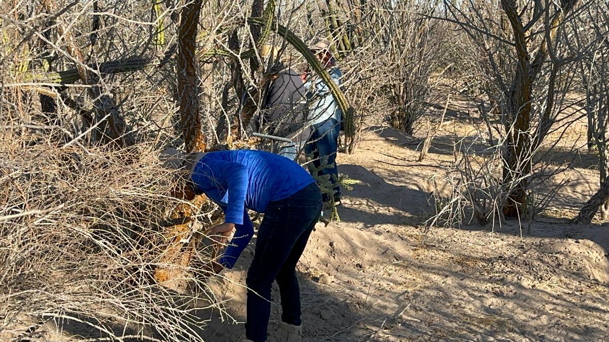 Hallazgo de fosas clandestinas reaviva la búsqueda de desaparecidos en Baja California Sur | Foto: Diego Soto