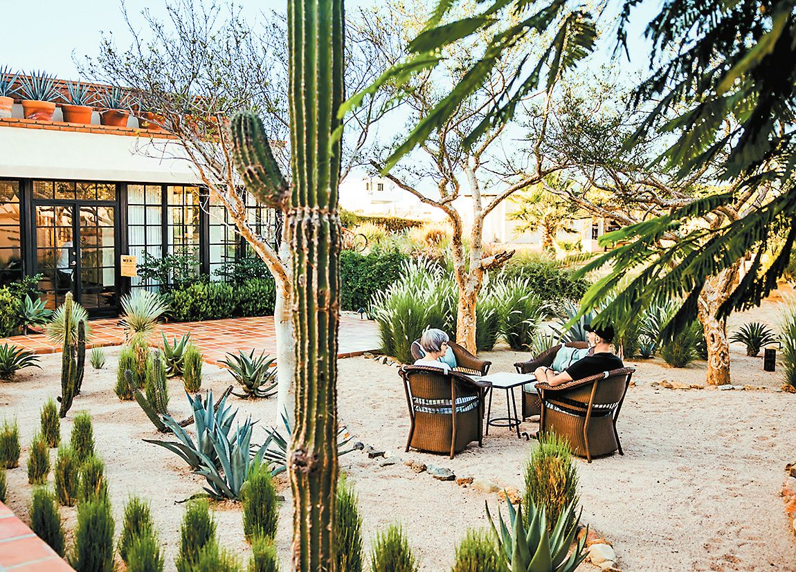 Modern Elder Academy en Baja California. The New York Times