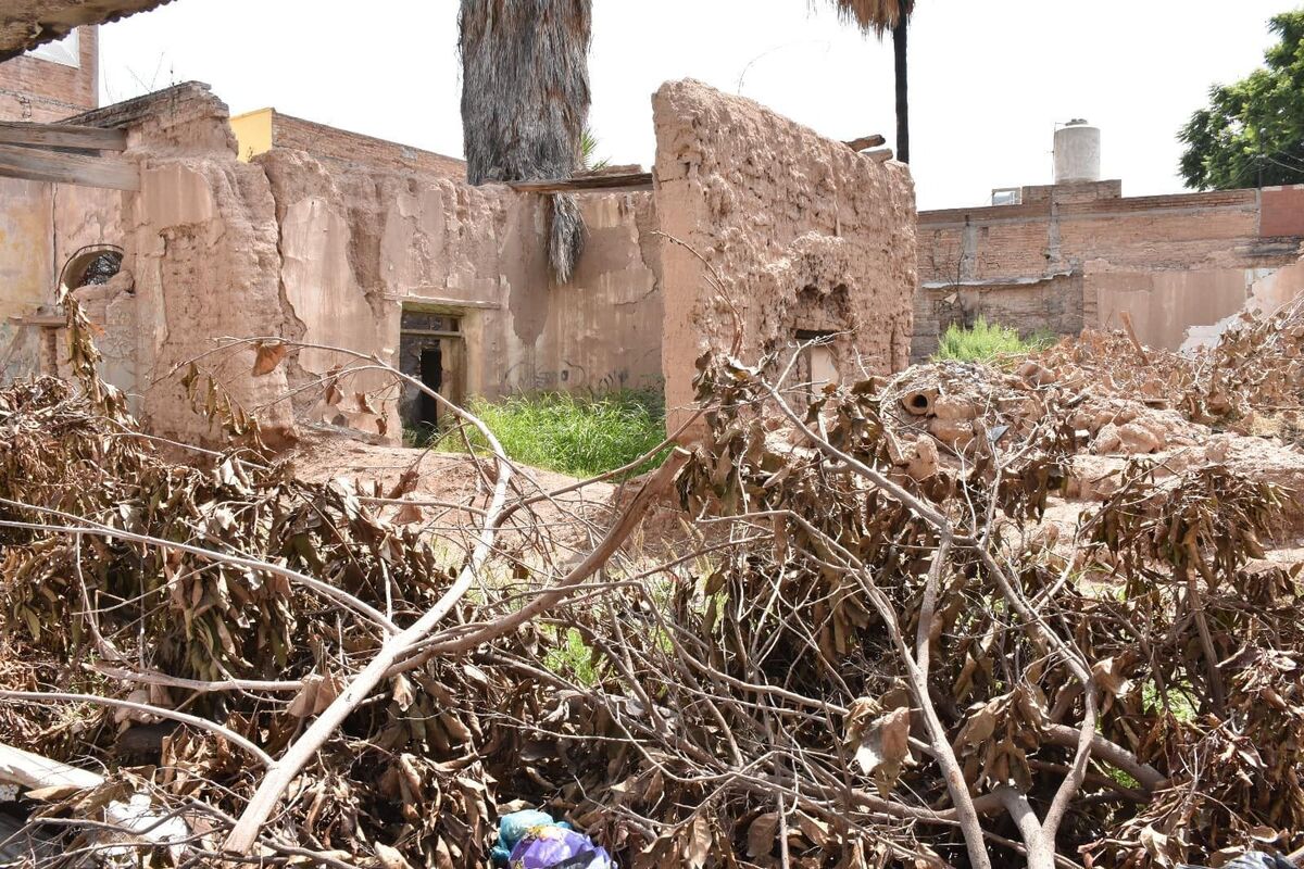 Destacan que muchos lotes carecen de la debida protección, lo que puede derivar en la acumulación de basura. | Archivo