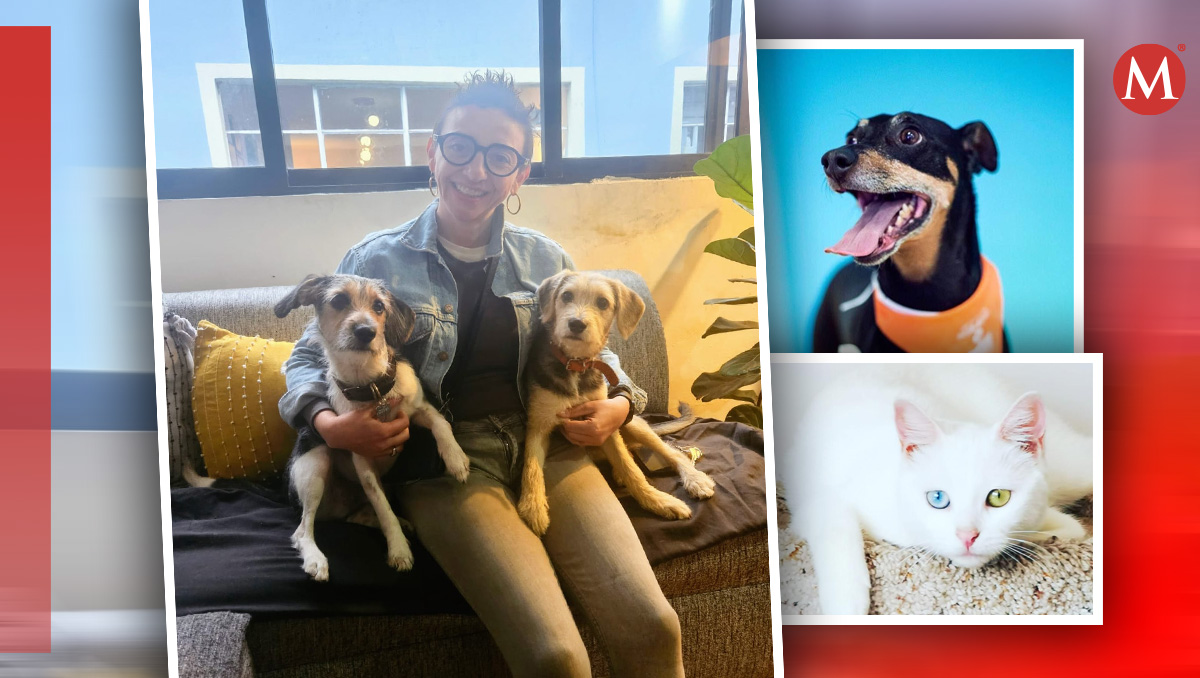 México es el segundo país con más animales de compañía, según la revista 'All Pet Food'. | Especial