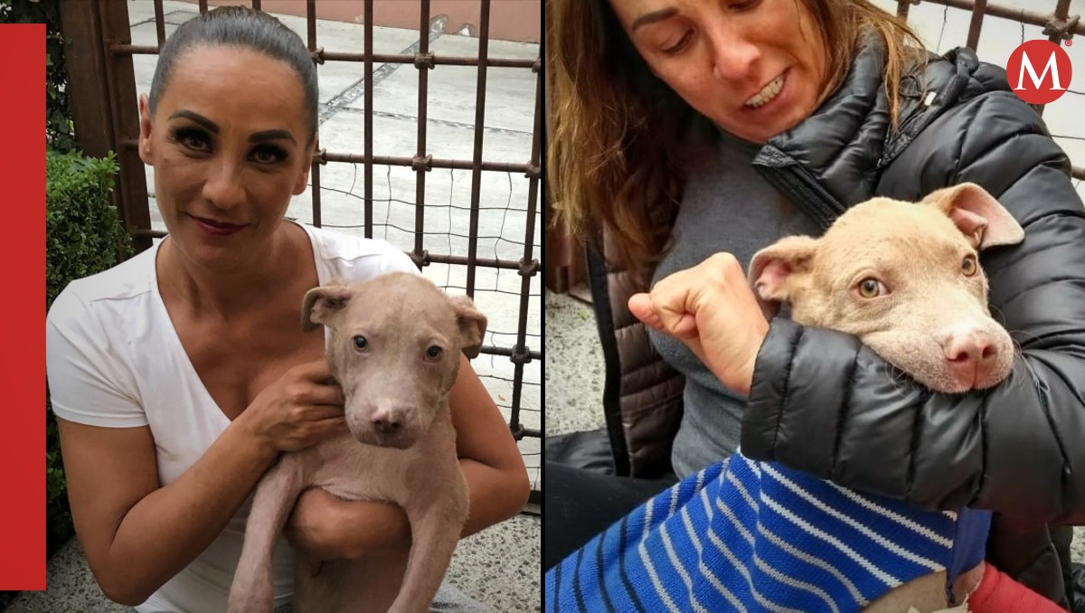 Consuelo Duval está destrozada por la muerte de su perro 'Caspita' | ESPECIAL