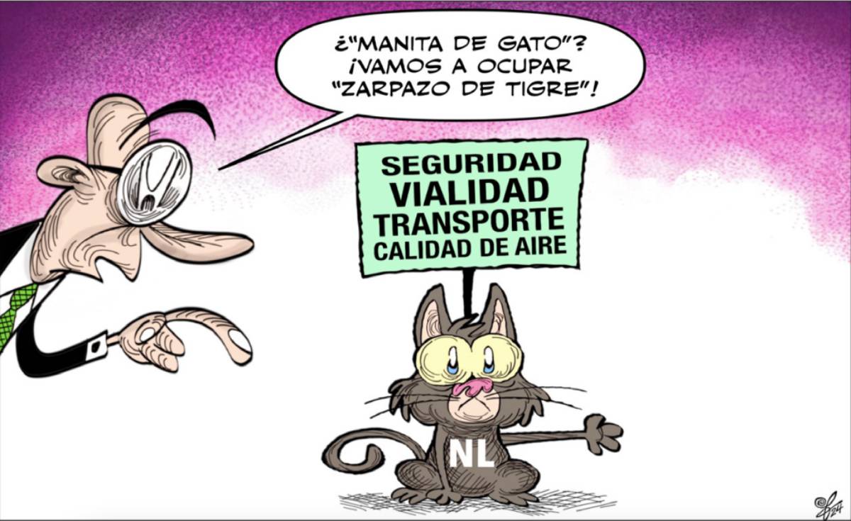 Manita de gato