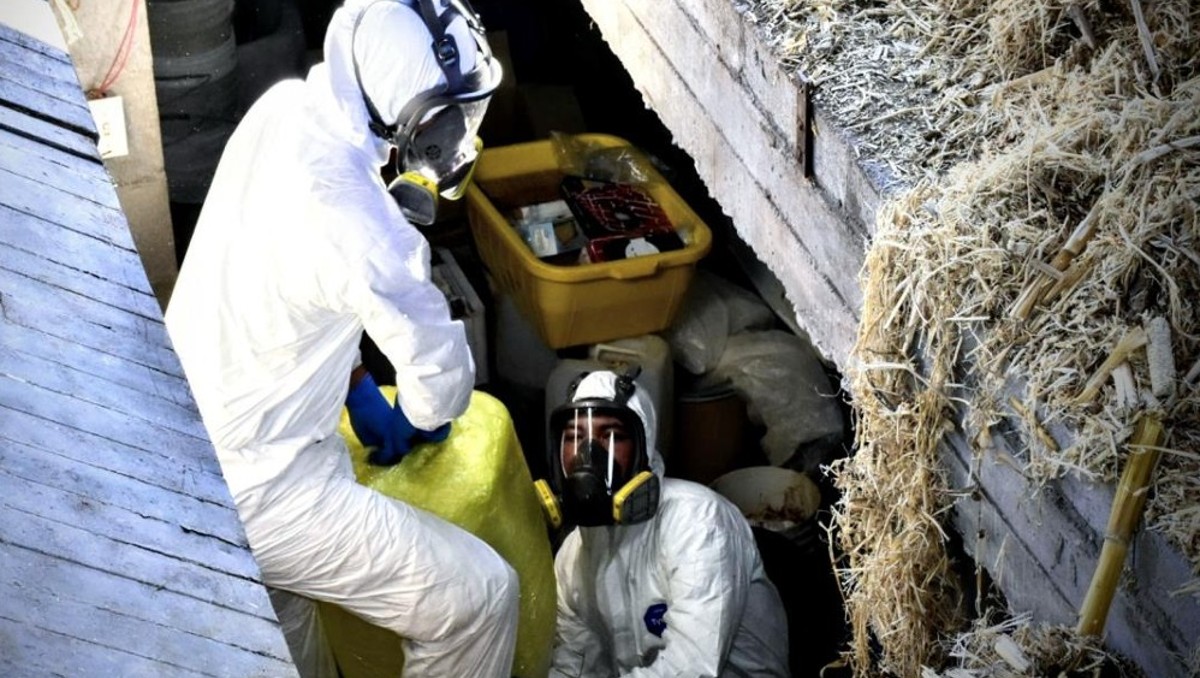 Localizan y clausuran laboratorio clandestino de producción de drogas en Sinaloa | Especial