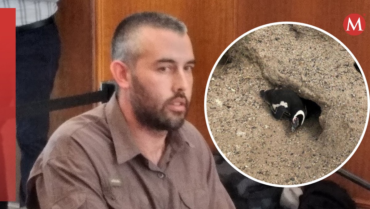 Ricardo La Regina es culpable de maltrato animal y otros cargos similares. | Especial