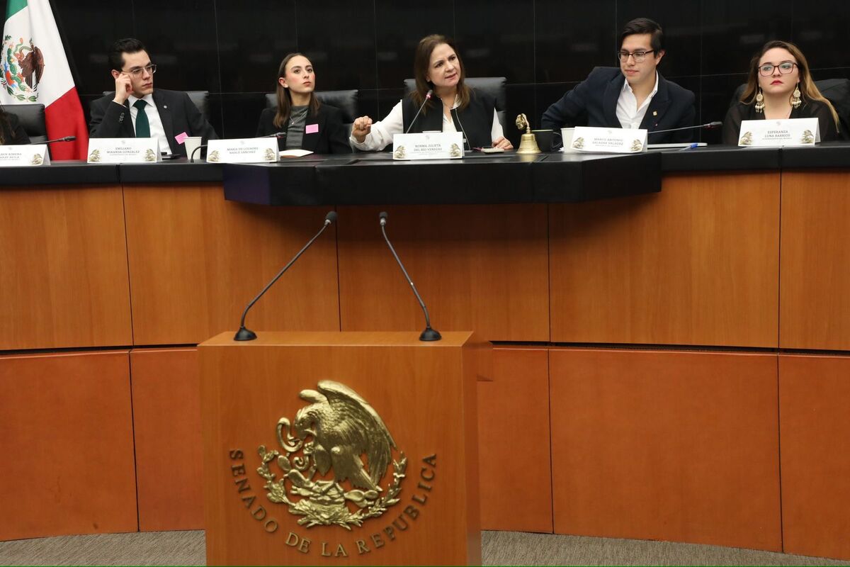 En Senado debatieron sobre la desaparición de los organismos autónomos. | Especial