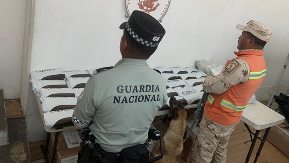 Guardia Nacional intercepta más de 40 kg de cocaína en aeropuerto de Tijuana | Especial