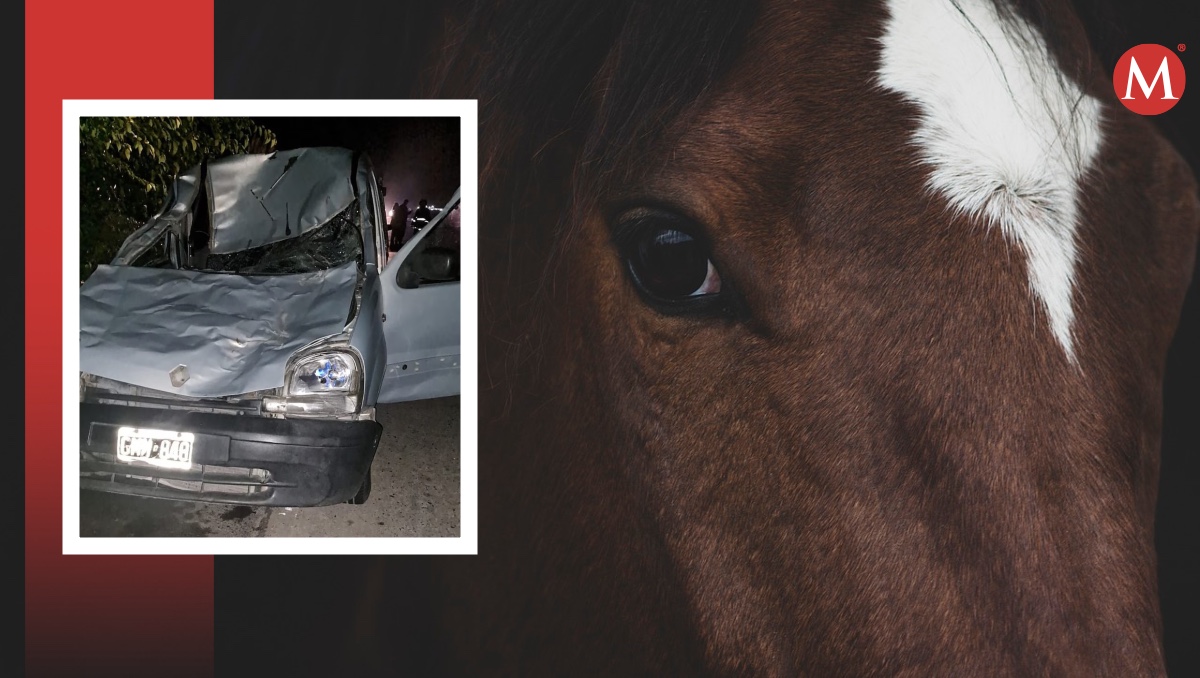 Hombre muere tras atropellar a equino. | ESPECIAL