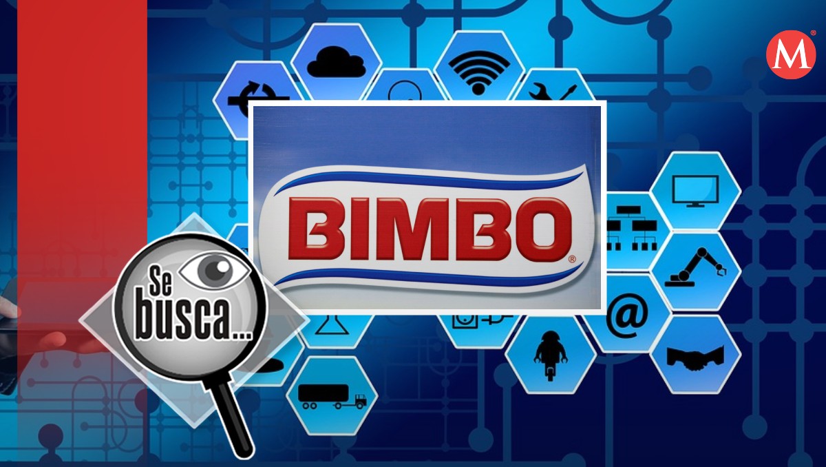 Bimbo, la panificadora con presencia a nivel mundial, está en busca de talento mexicano. Foto: Reuters | Pixabay