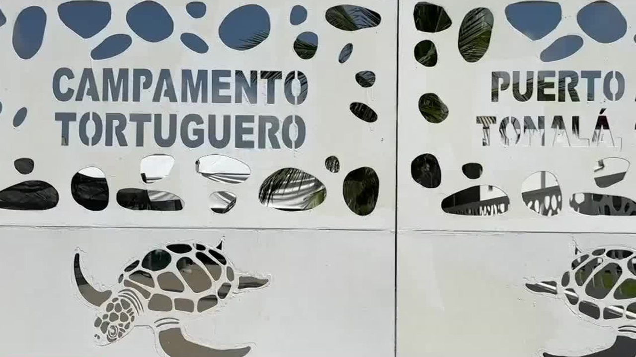 Gobernador Rutilio Escandón entrega la rehabilitación de campamentos tortugueros en Chiapas