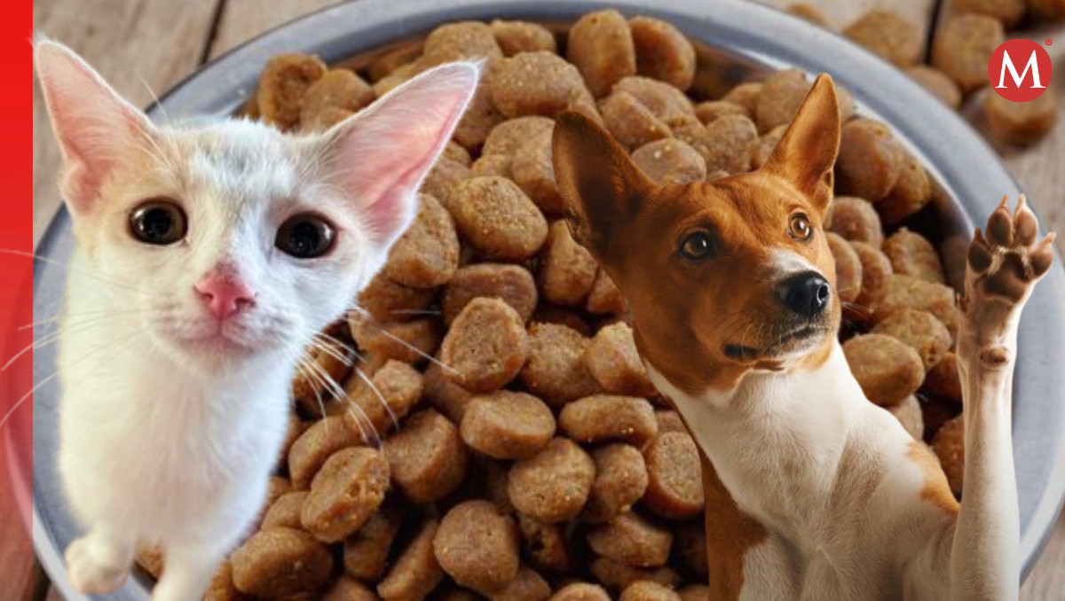 Pretenden eliminar IVA en alimentos de mascotas | Archivo Milenio