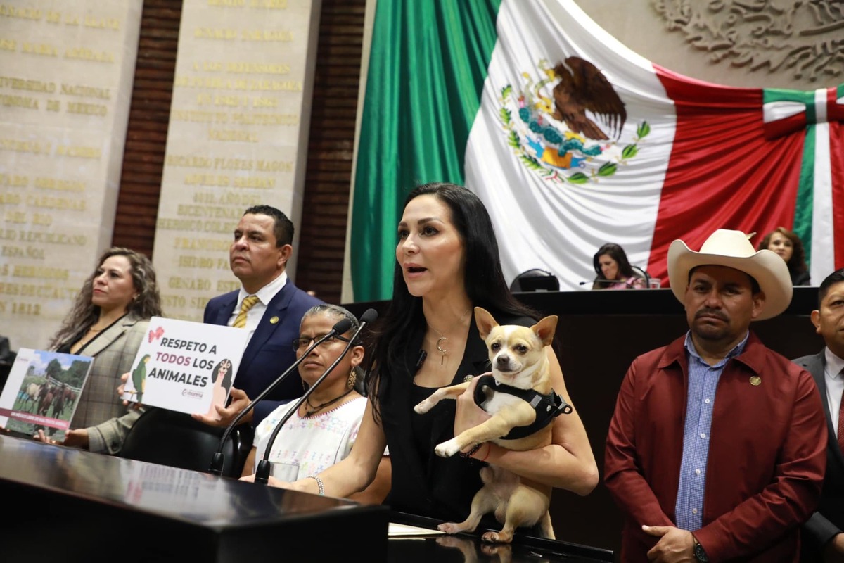Aprueban diputados reforma sobre protección y cuidado animal. | Foto: Especial