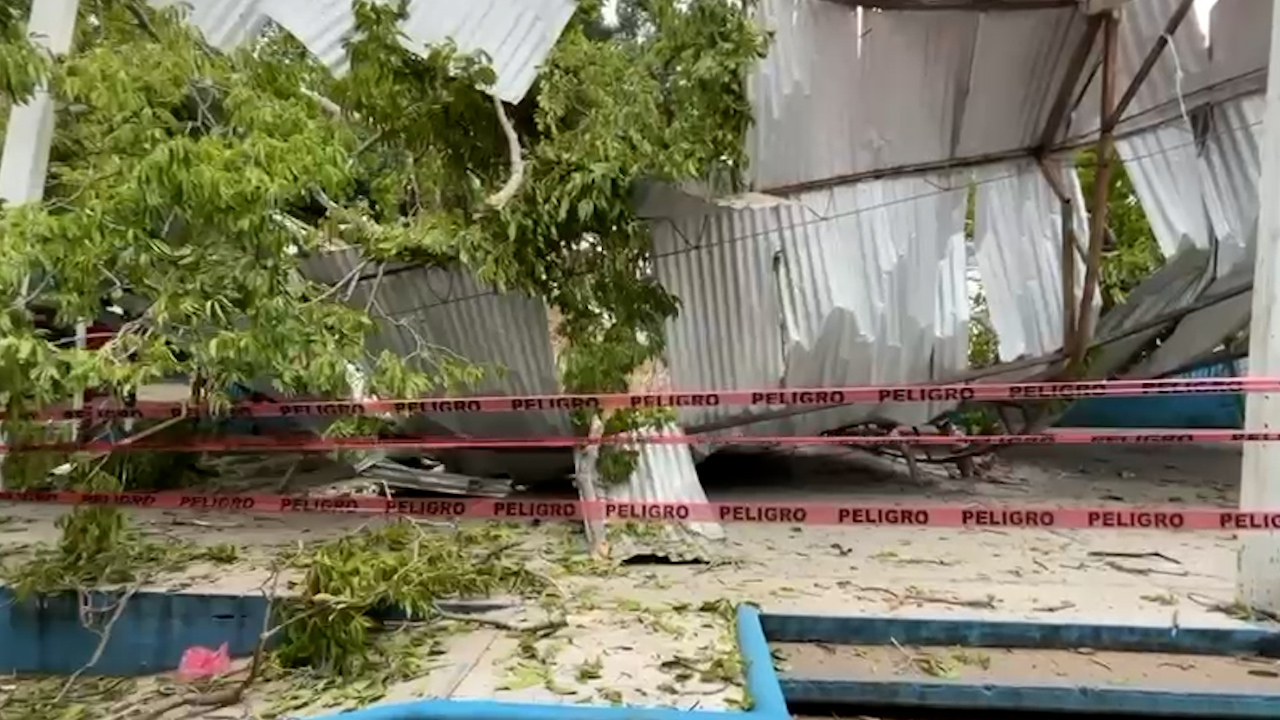 Colapsa domo de primaria tras caída de árbol de más de 20 metros en Tuxtla Gutiérrez, Chiapas