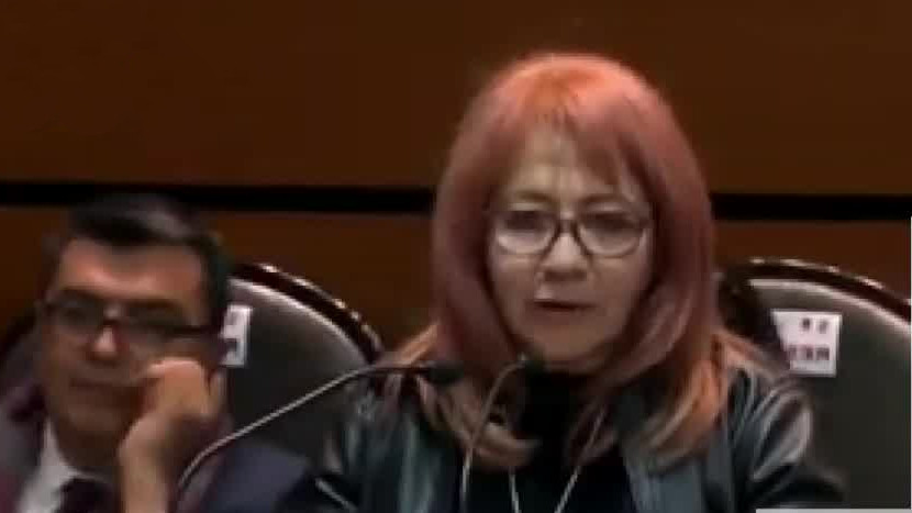 Defensores de derechos humanos rechazan a Rosario Piedra por ineficiencia