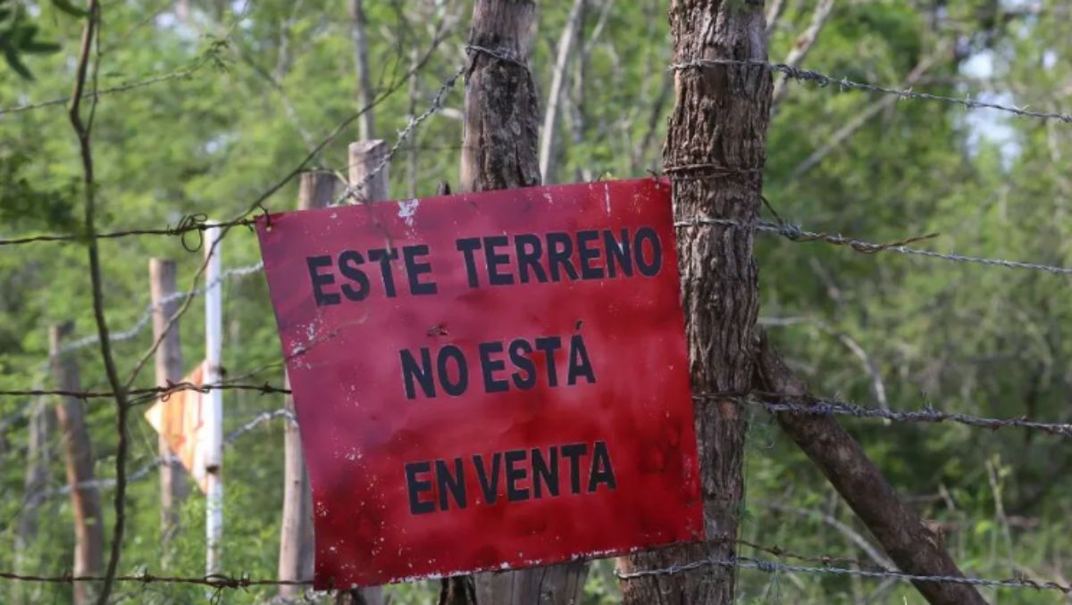 Delitos por despojo en Nuevo León / Archivo