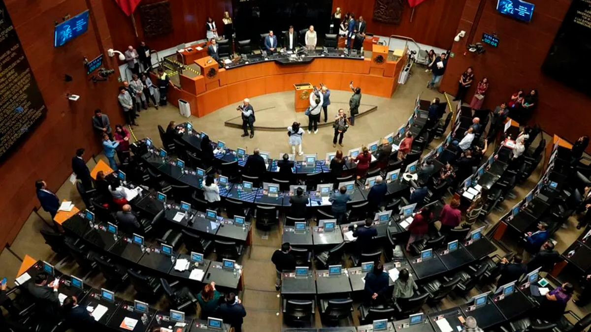 Continúa la discusión en el Senado por la renovación de la CNDH. Pedro Gamboa, 12 de noviembre 2024